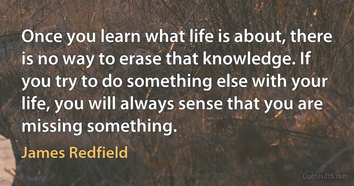 Once you learn what life is about, there is no way to erase that knowledge. If you try to do something else with your life, you will always sense that you are missing something. (James Redfield)