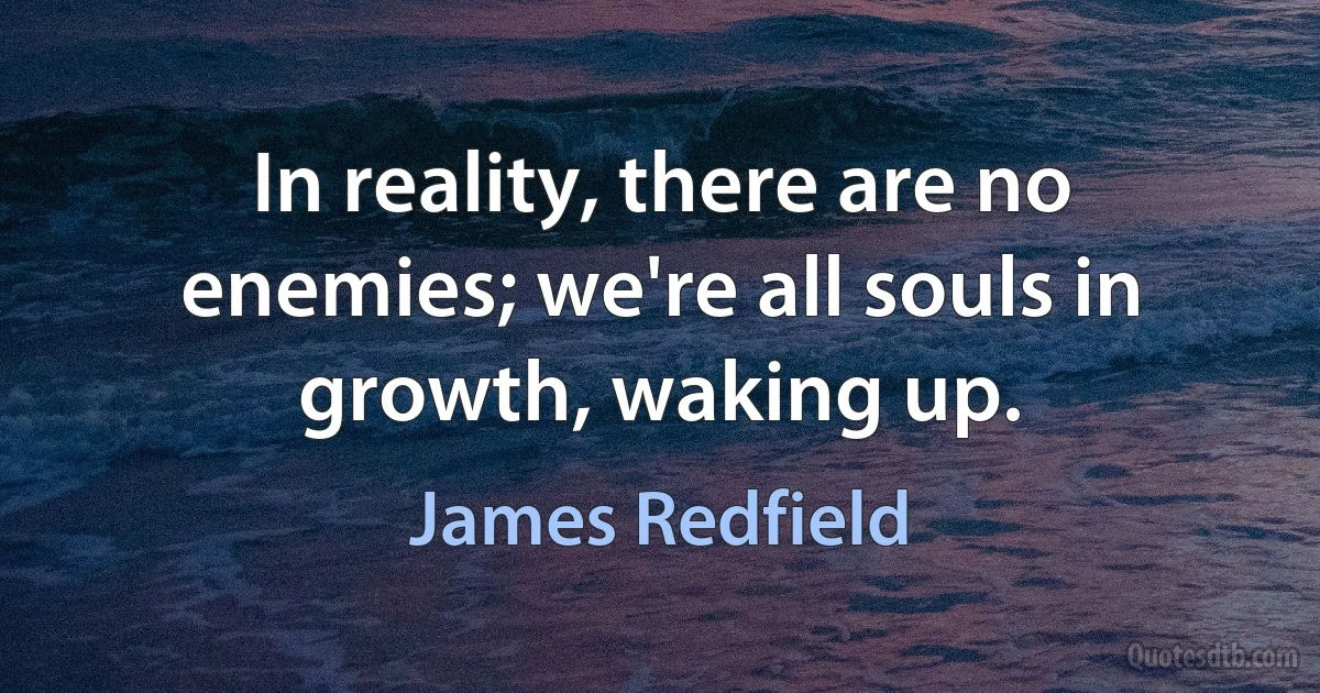 In reality, there are no enemies; we're all souls in growth, waking up. (James Redfield)