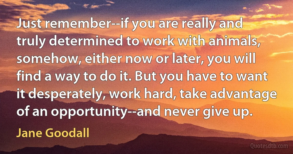 Just remember--if you are really and truly determined to work with animals, somehow, either now or later, you will find a way to do it. But you have to want it desperately, work hard, take advantage of an opportunity--and never give up. (Jane Goodall)