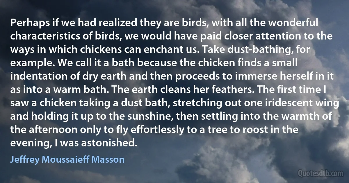 Perhaps if we had realized they are birds, with all the wonderful characteristics of birds, we would have paid closer attention to the ways in which chickens can enchant us. Take dust-bathing, for example. We call it a bath because the chicken finds a small indentation of dry earth and then proceeds to immerse herself in it as into a warm bath. The earth cleans her feathers. The first time I saw a chicken taking a dust bath, stretching out one iridescent wing and holding it up to the sunshine, then settling into the warmth of the afternoon only to fly effortlessly to a tree to roost in the evening, I was astonished. (Jeffrey Moussaieff Masson)