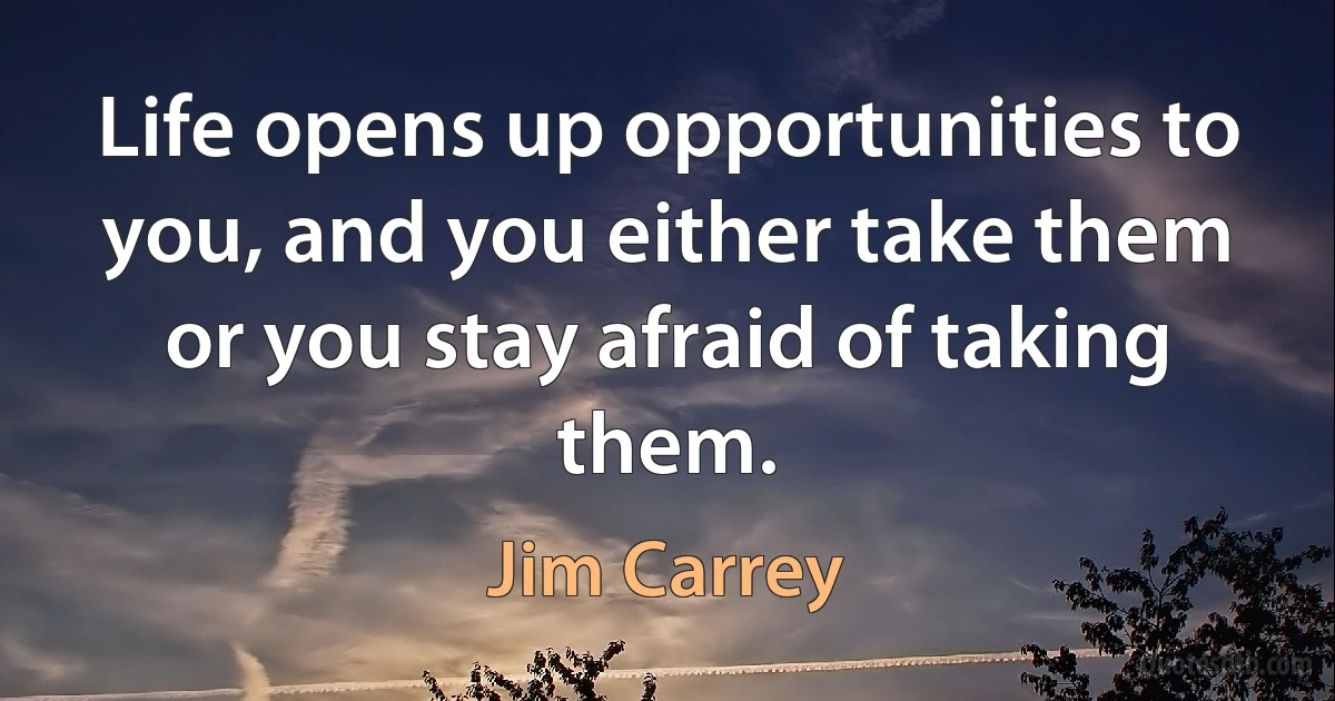 Life opens up opportunities to you, and you either take them or you stay afraid of taking them. (Jim Carrey)