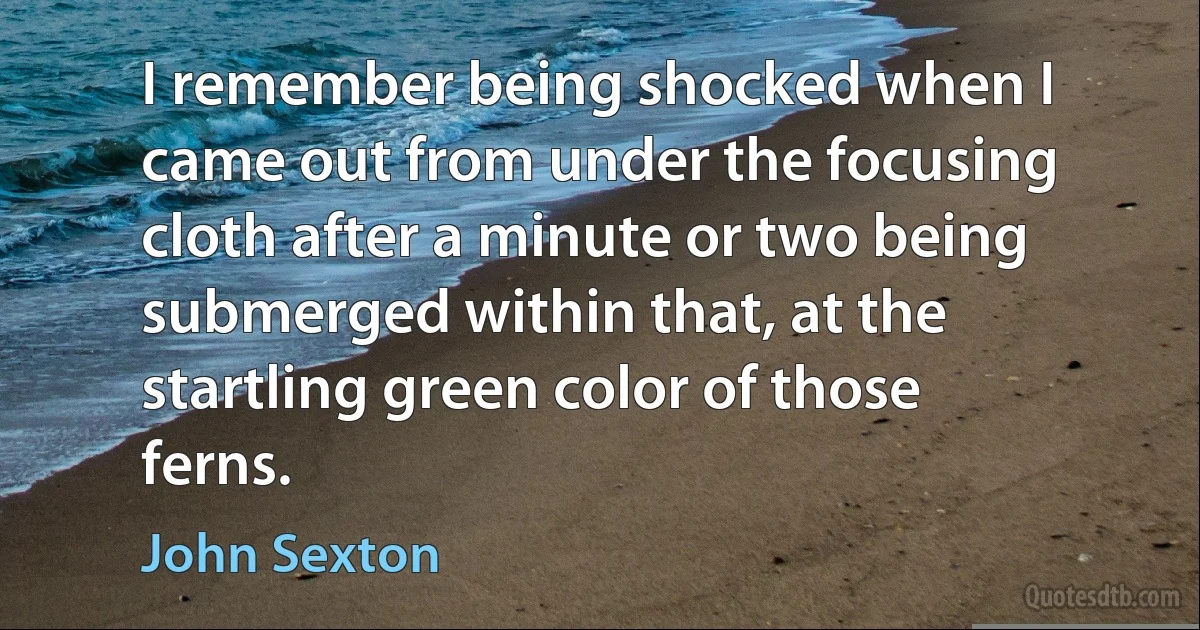 I remember being shocked when I came out from under the focusing cloth after a minute or two being submerged within that, at the startling green color of those ferns. (John Sexton)