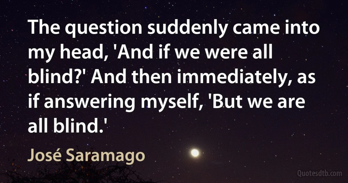 The question suddenly came into my head, 'And if we were all blind?' And then immediately, as if answering myself, 'But we are all blind.' (José Saramago)