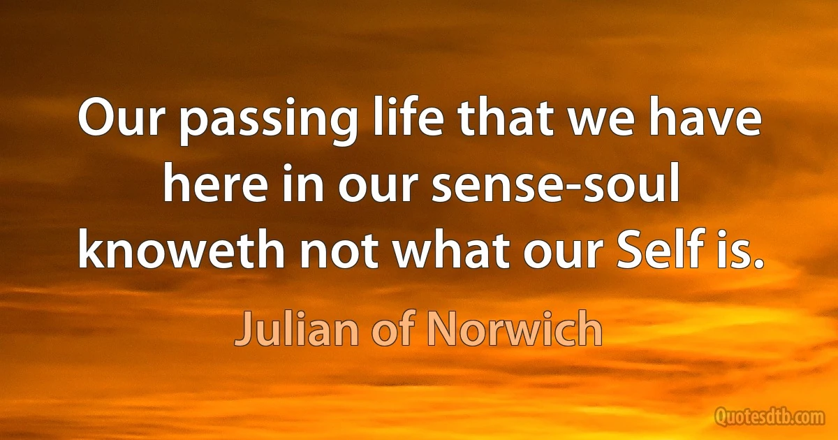 Our passing life that we have here in our sense-soul knoweth not what our Self is. (Julian of Norwich)