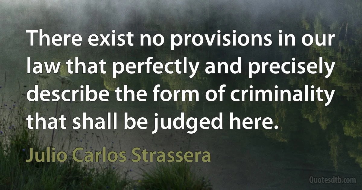 There exist no provisions in our law that perfectly and precisely describe the form of criminality that shall be judged here. (Julio Carlos Strassera)