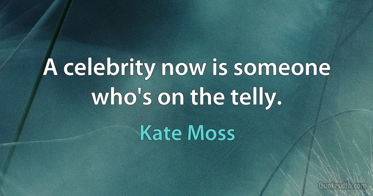 A celebrity now is someone who's on the telly. (Kate Moss)