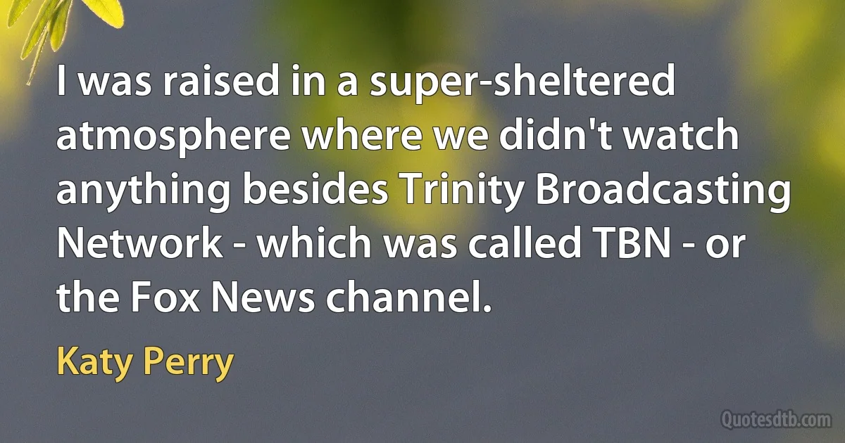 I was raised in a super-sheltered atmosphere where we didn't watch anything besides Trinity Broadcasting Network - which was called TBN - or the Fox News channel. (Katy Perry)