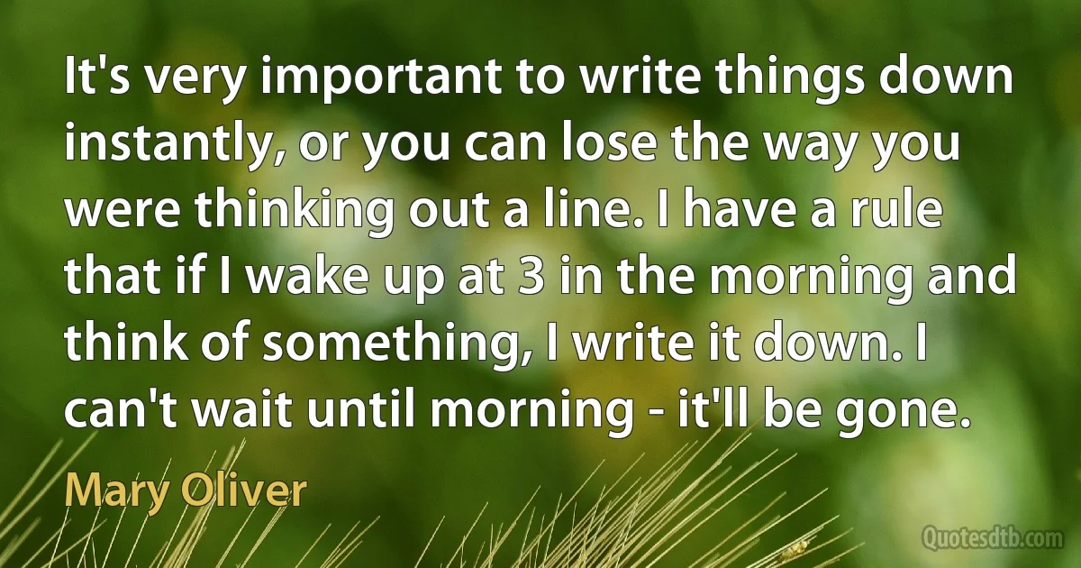 It's very important to write things down instantly, or you can lose the way you were thinking out a line. I have a rule that if I wake up at 3 in the morning and think of something, I write it down. I can't wait until morning - it'll be gone. (Mary Oliver)