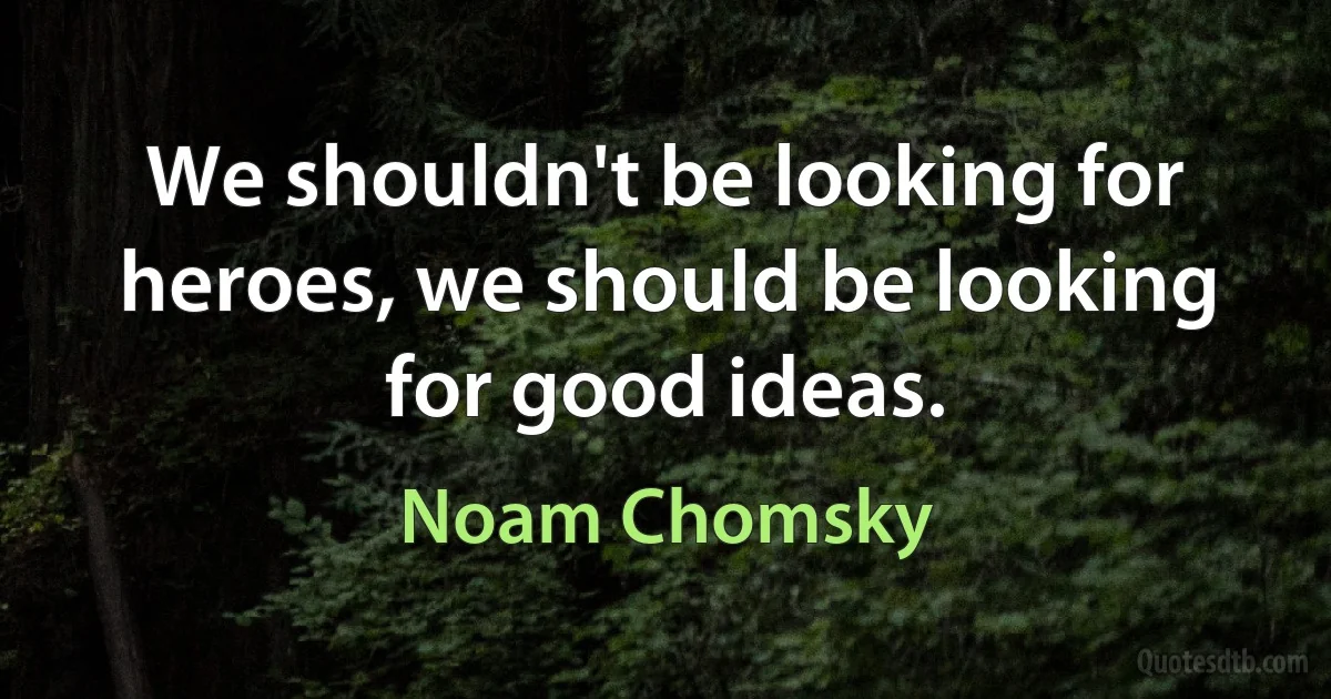 We shouldn't be looking for heroes, we should be looking for good ideas. (Noam Chomsky)