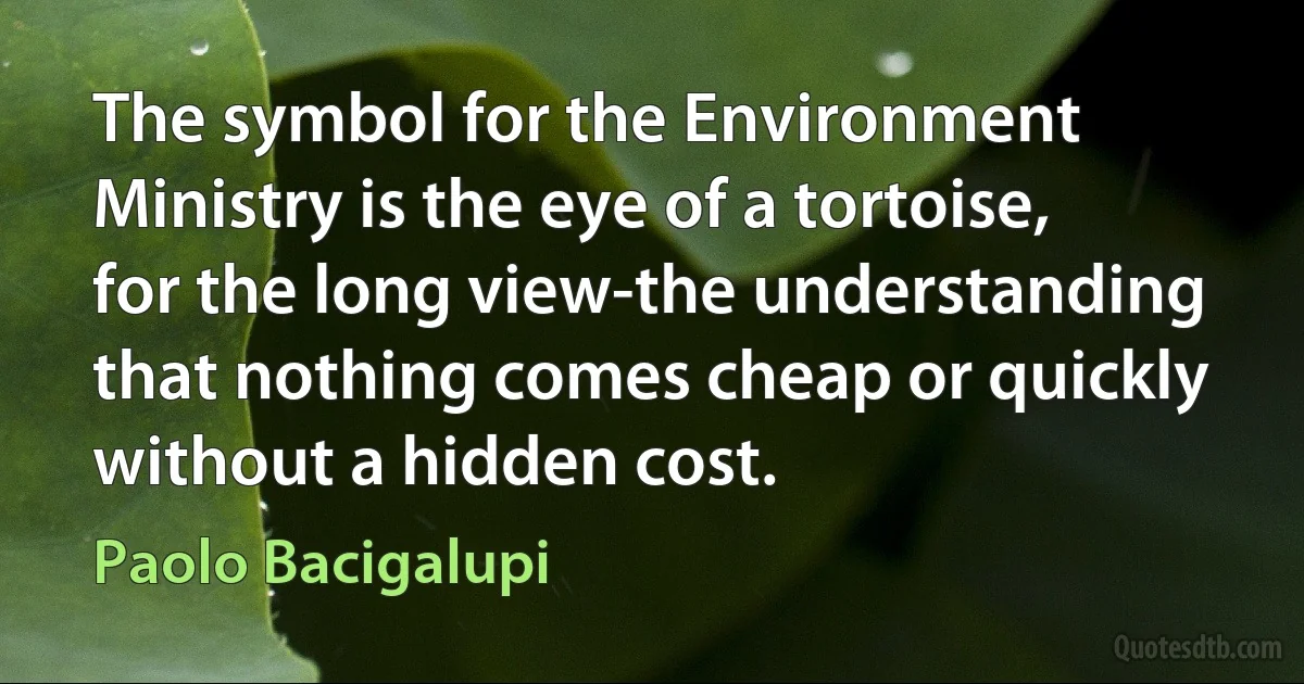 The symbol for the Environment Ministry is the eye of a tortoise, for the long view-the understanding that nothing comes cheap or quickly without a hidden cost. (Paolo Bacigalupi)