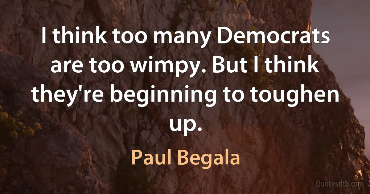 I think too many Democrats are too wimpy. But I think they're beginning to toughen up. (Paul Begala)