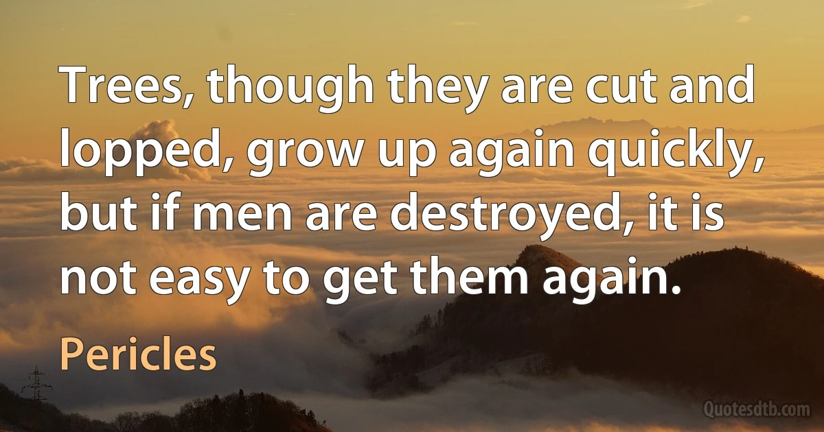 Trees, though they are cut and lopped, grow up again quickly, but if men are destroyed, it is not easy to get them again. (Pericles)