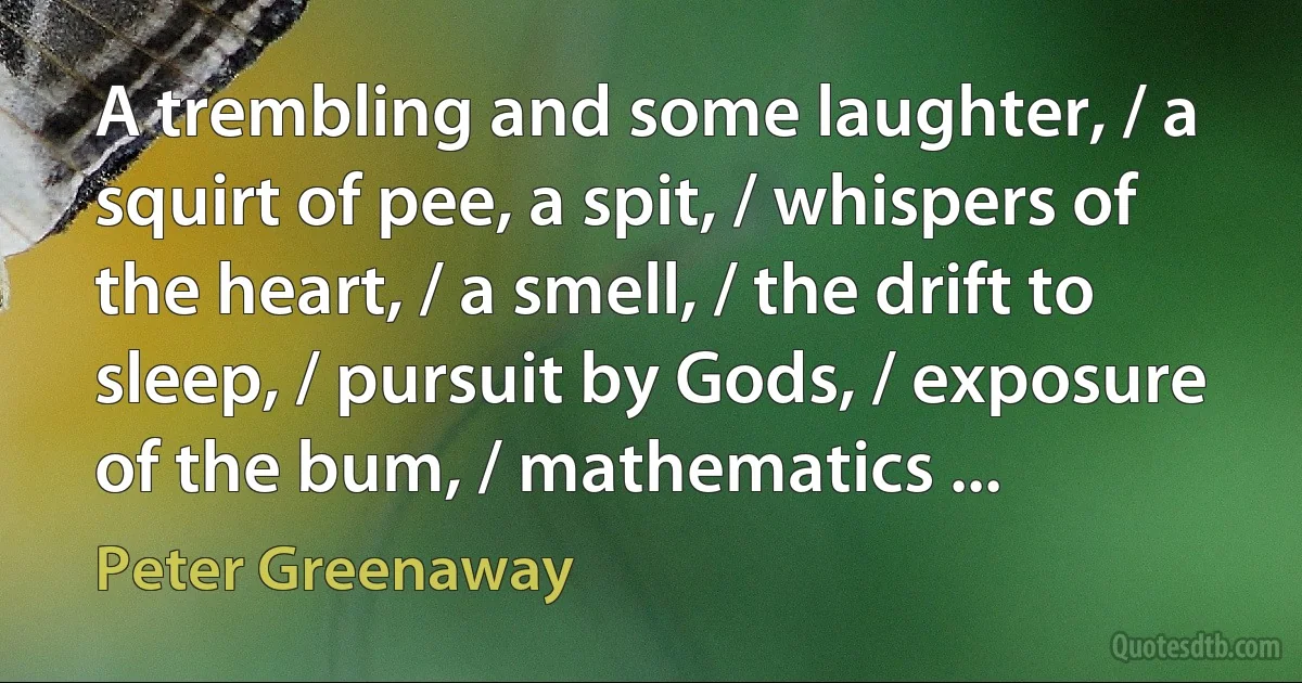 A trembling and some laughter, / a squirt of pee, a spit, / whispers of the heart, / a smell, / the drift to sleep, / pursuit by Gods, / exposure of the bum, / mathematics ... (Peter Greenaway)