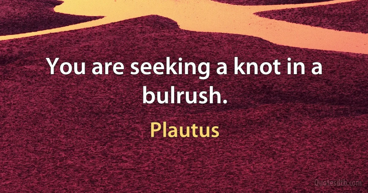 You are seeking a knot in a bulrush. (Plautus)