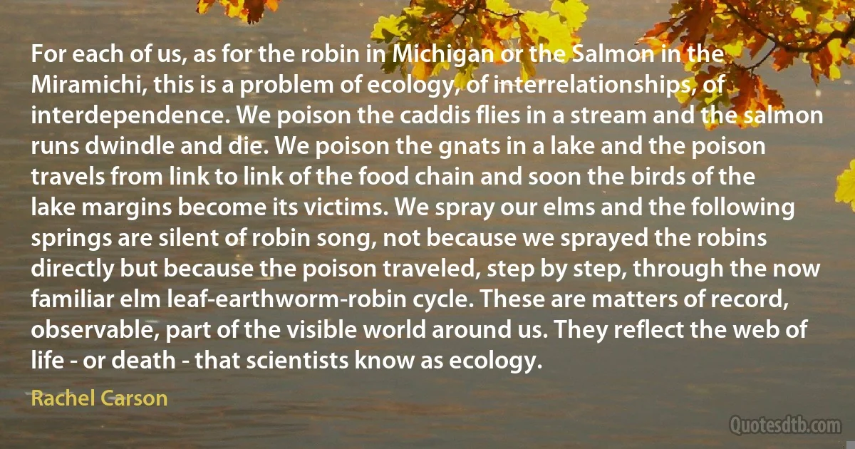 For each of us, as for the robin in Michigan or the Salmon in the Miramichi, this is a problem of ecology, of interrelationships, of interdependence. We poison the caddis flies in a stream and the salmon runs dwindle and die. We poison the gnats in a lake and the poison travels from link to link of the food chain and soon the birds of the lake margins become its victims. We spray our elms and the following springs are silent of robin song, not because we sprayed the robins directly but because the poison traveled, step by step, through the now familiar elm leaf-earthworm-robin cycle. These are matters of record, observable, part of the visible world around us. They reflect the web of life - or death - that scientists know as ecology. (Rachel Carson)