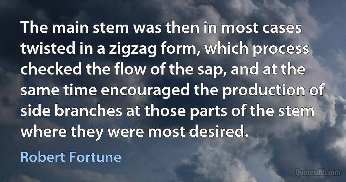 The main stem was then in most cases twisted in a zigzag form, which process checked the flow of the sap, and at the same time encouraged the production of side branches at those parts of the stem where they were most desired. (Robert Fortune)