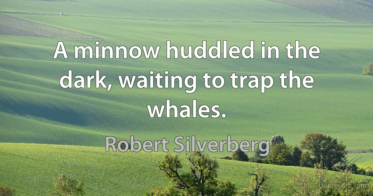 A minnow huddled in the dark, waiting to trap the whales. (Robert Silverberg)