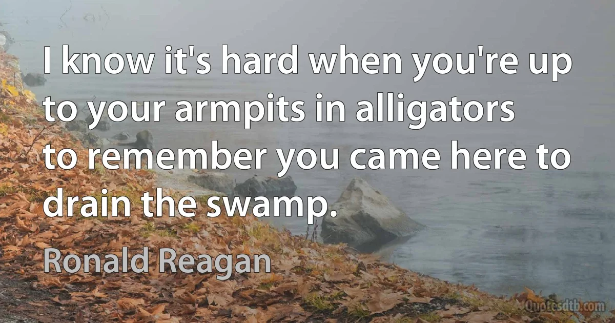 I know it's hard when you're up to your armpits in alligators to remember you came here to drain the swamp. (Ronald Reagan)