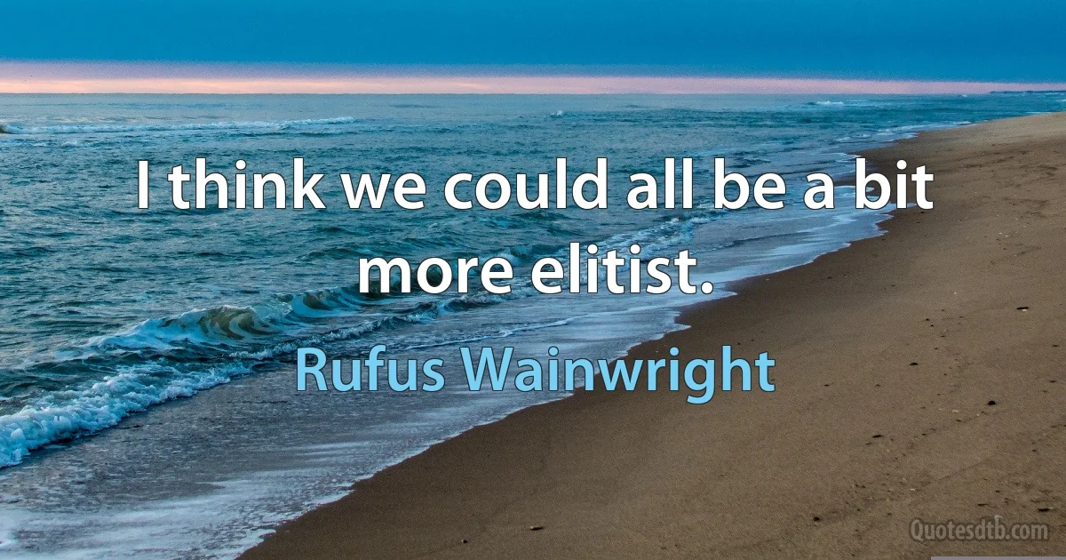 I think we could all be a bit more elitist. (Rufus Wainwright)