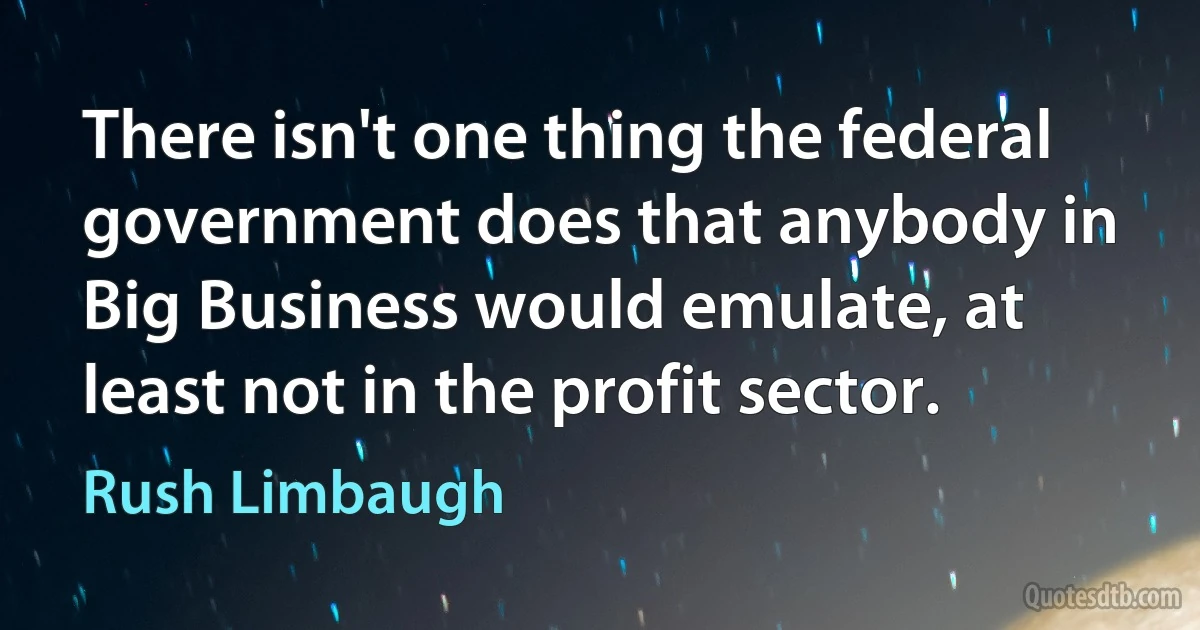 There isn't one thing the federal government does that anybody in Big Business would emulate, at least not in the profit sector. (Rush Limbaugh)