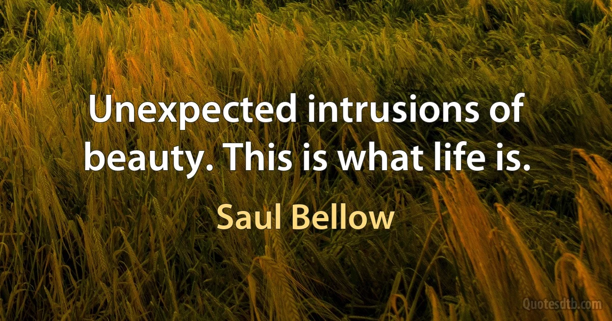 Unexpected intrusions of beauty. This is what life is. (Saul Bellow)