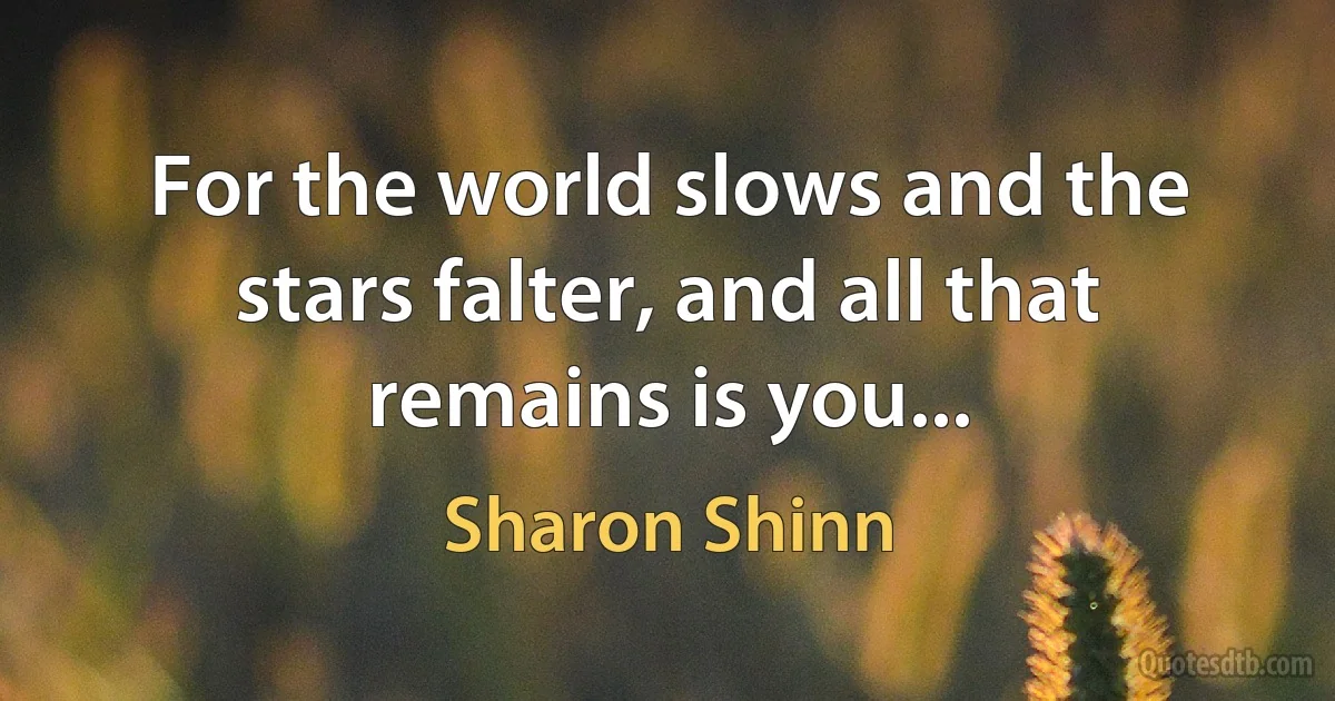 For the world slows and the stars falter, and all that remains is you... (Sharon Shinn)