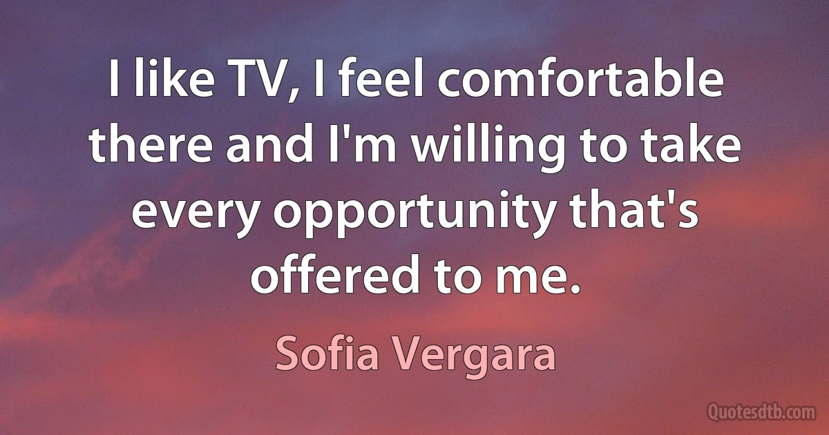 I like TV, I feel comfortable there and I'm willing to take every opportunity that's offered to me. (Sofia Vergara)