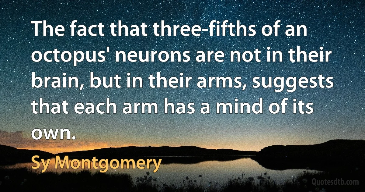 The fact that three-fifths of an octopus' neurons are not in their brain, but in their arms, suggests that each arm has a mind of its own. (Sy Montgomery)