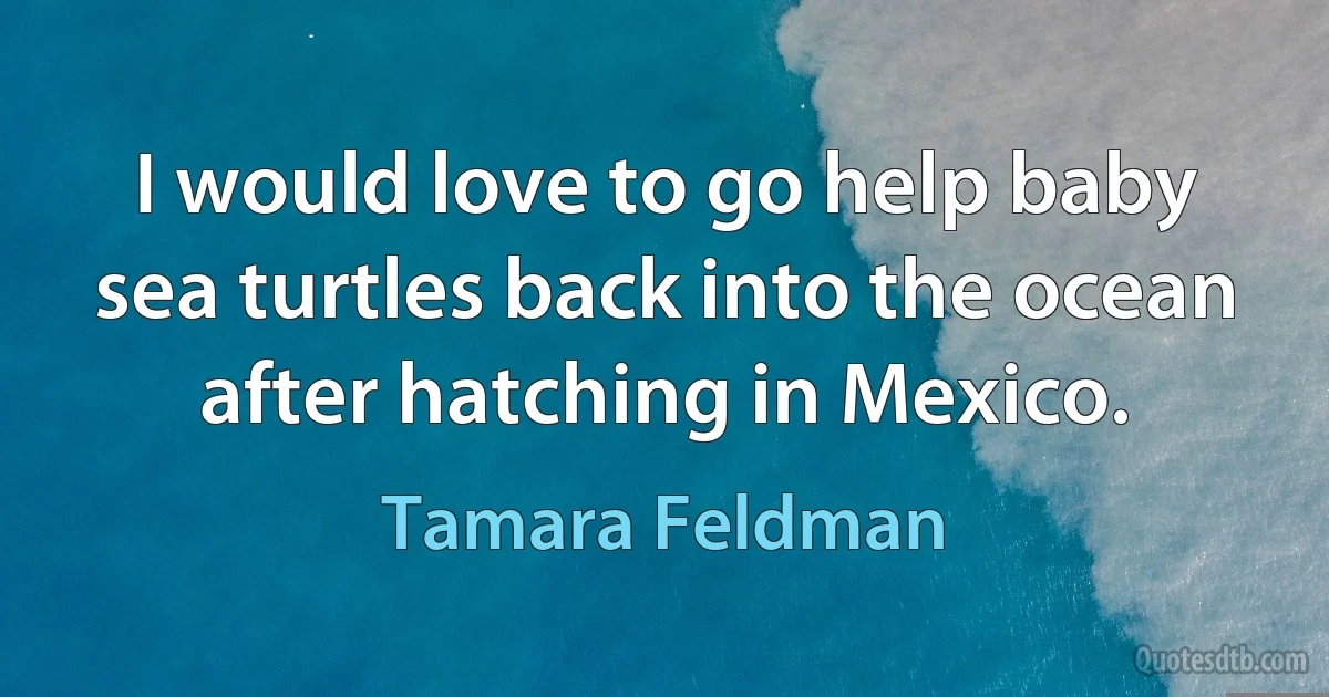 I would love to go help baby sea turtles back into the ocean after hatching in Mexico. (Tamara Feldman)