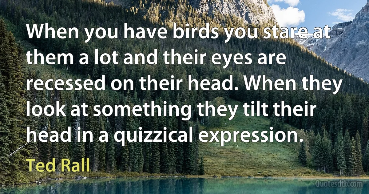 When you have birds you stare at them a lot and their eyes are recessed on their head. When they look at something they tilt their head in a quizzical expression. (Ted Rall)