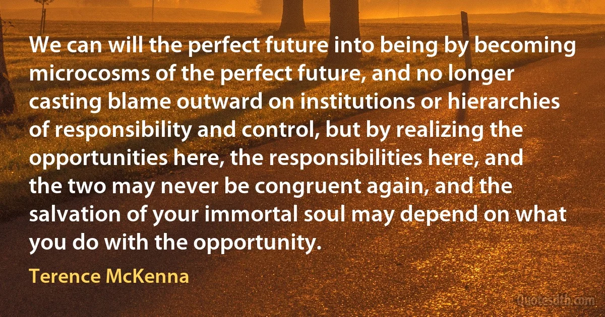 We can will the perfect future into being by becoming microcosms of the perfect future, and no longer casting blame outward on institutions or hierarchies of responsibility and control, but by realizing the opportunities here, the responsibilities here, and the two may never be congruent again, and the salvation of your immortal soul may depend on what you do with the opportunity. (Terence McKenna)