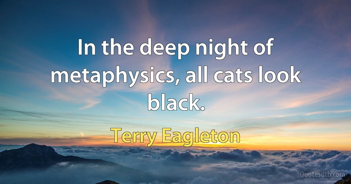 In the deep night of metaphysics, all cats look black. (Terry Eagleton)