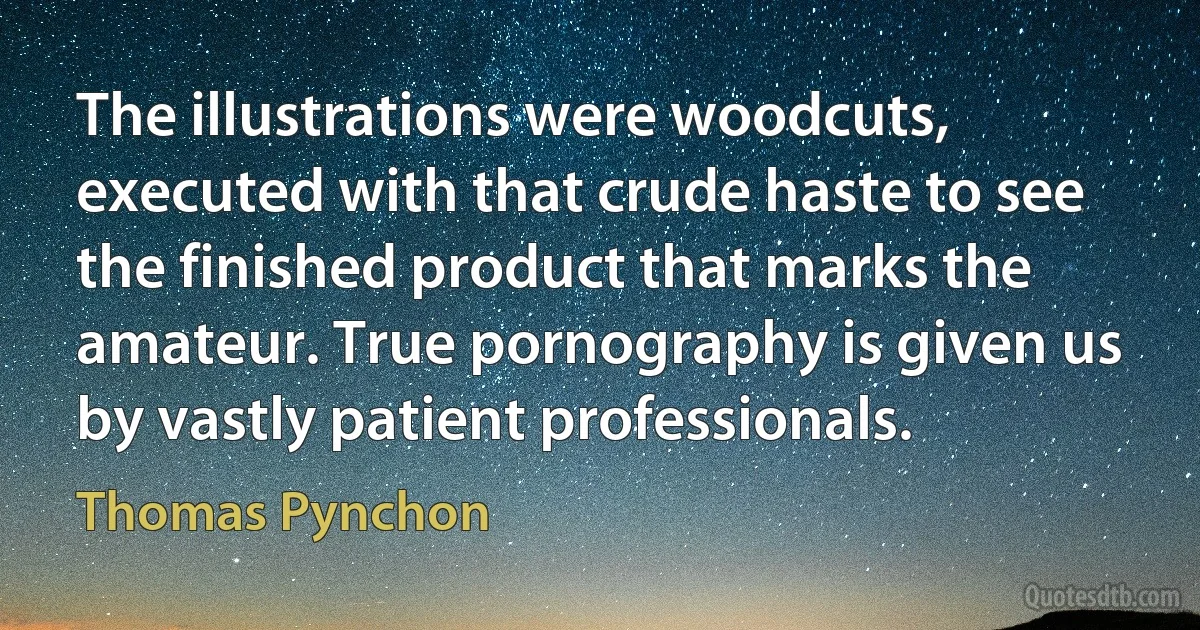 The illustrations were woodcuts, executed with that crude haste to see the finished product that marks the amateur. True pornography is given us by vastly patient professionals. (Thomas Pynchon)