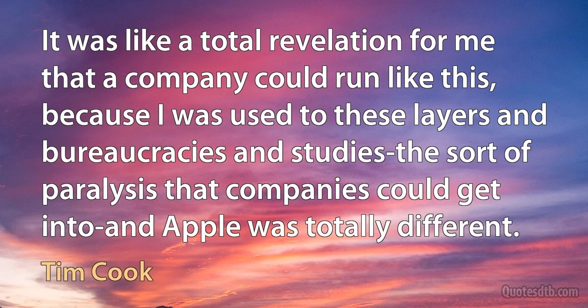 It was like a total revelation for me that a company could run like this, because I was used to these layers and bureaucracies and studies-the sort of paralysis that companies could get into-and Apple was totally different. (Tim Cook)