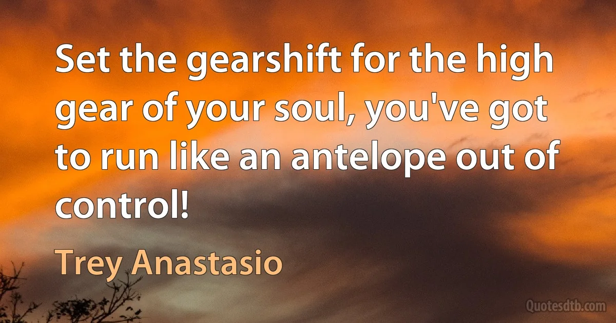 Set the gearshift for the high gear of your soul, you've got to run like an antelope out of control! (Trey Anastasio)