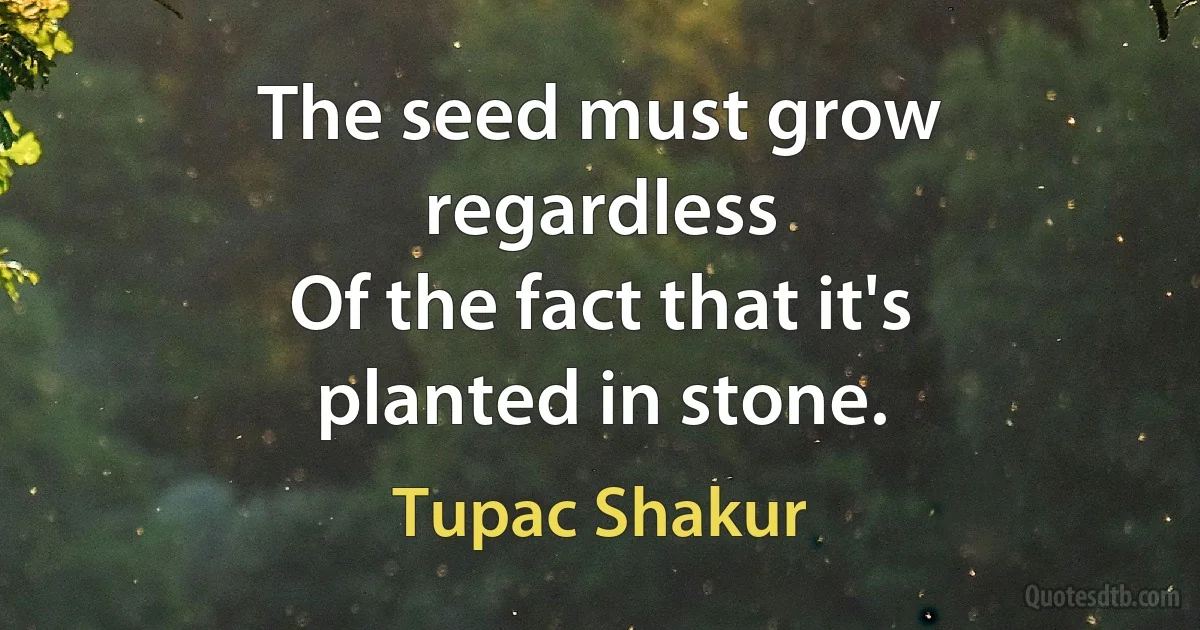 The seed must grow regardless
Of the fact that it's planted in stone. (Tupac Shakur)