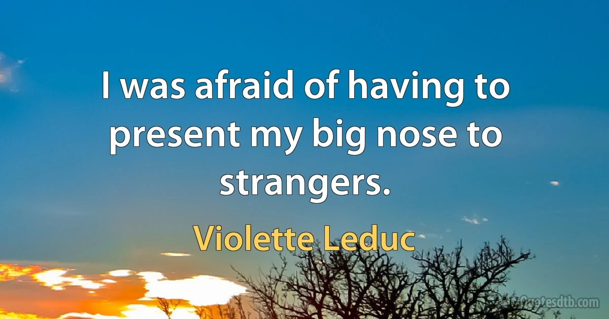 I was afraid of having to present my big nose to strangers. (Violette Leduc)