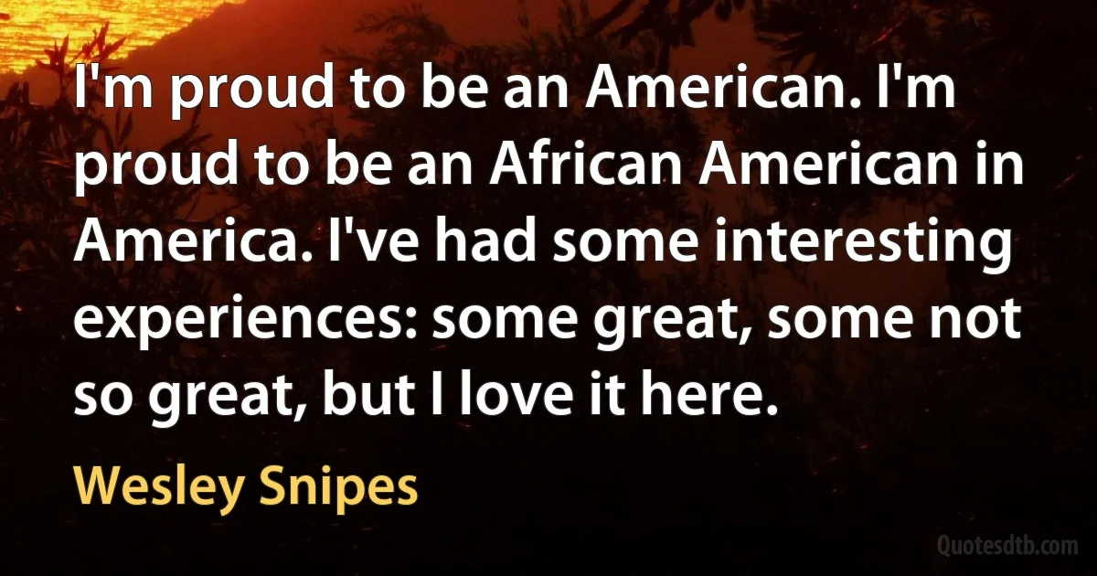 I'm proud to be an American. I'm proud to be an African American in America. I've had some interesting experiences: some great, some not so great, but I love it here. (Wesley Snipes)