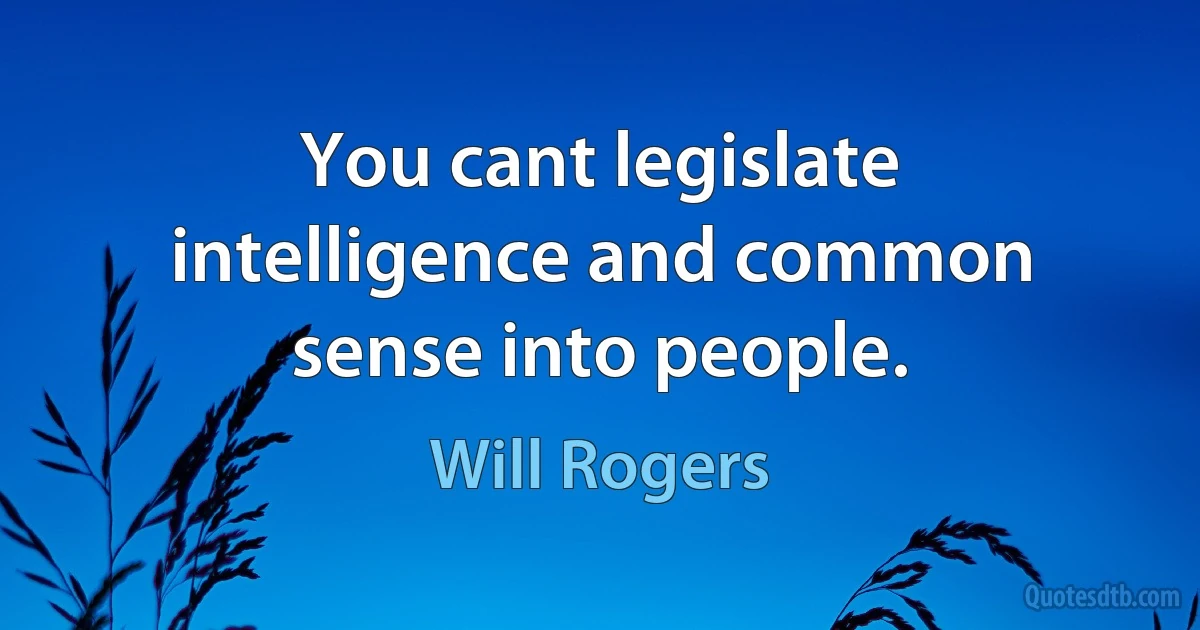 You cant legislate intelligence and common sense into people. (Will Rogers)