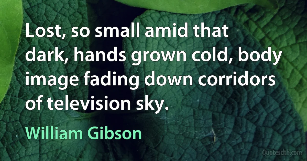 Lost, so small amid that dark, hands grown cold, body image fading down corridors of television sky. (William Gibson)