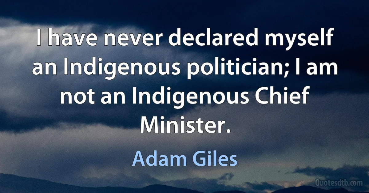 I have never declared myself an Indigenous politician; I am not an Indigenous Chief Minister. (Adam Giles)