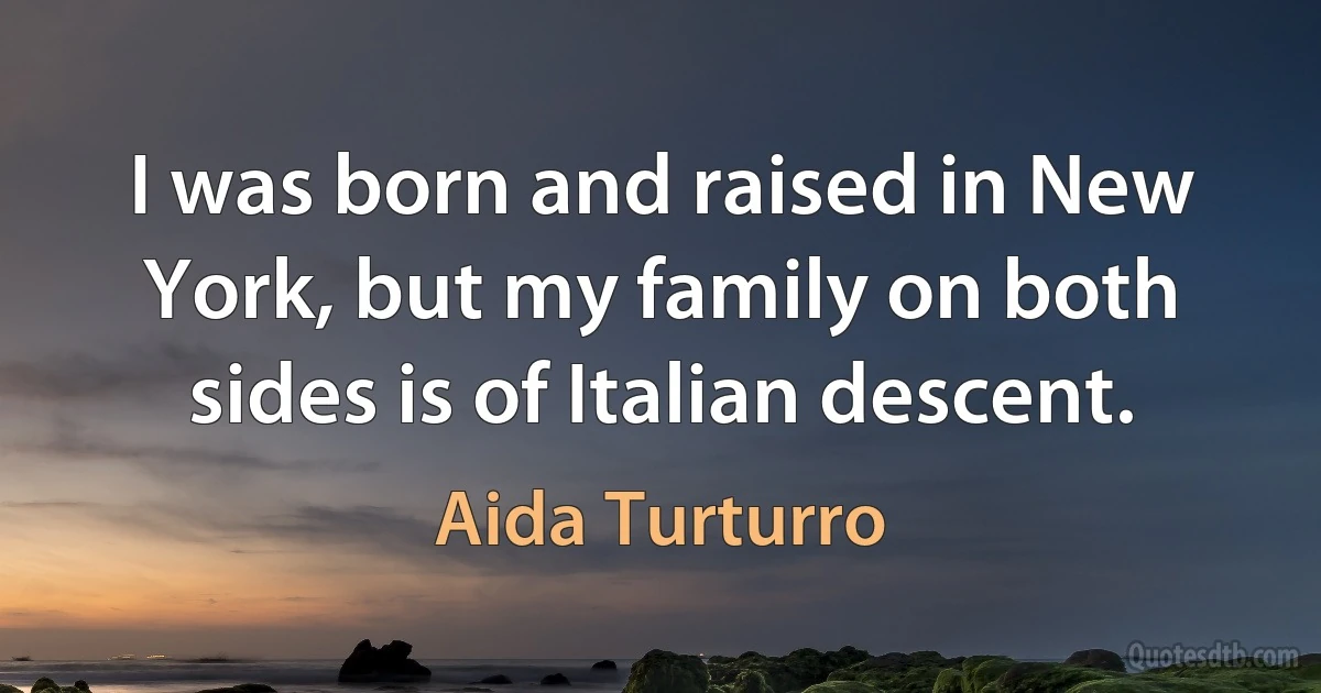 I was born and raised in New York, but my family on both sides is of Italian descent. (Aida Turturro)