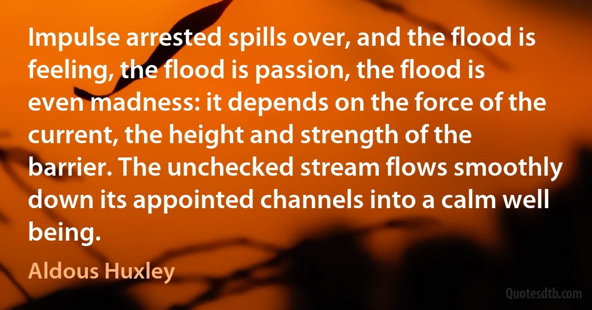 Impulse arrested spills over, and the flood is feeling, the flood is passion, the flood is even madness: it depends on the force of the current, the height and strength of the barrier. The unchecked stream flows smoothly down its appointed channels into a calm well being. (Aldous Huxley)