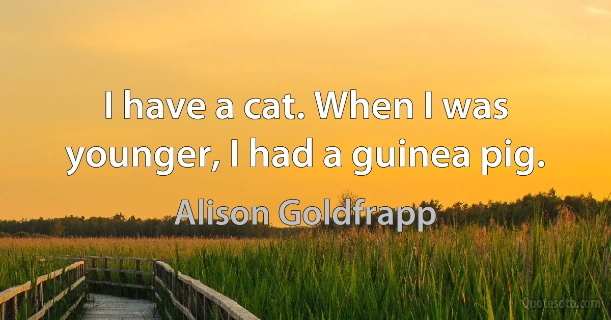 I have a cat. When I was younger, I had a guinea pig. (Alison Goldfrapp)