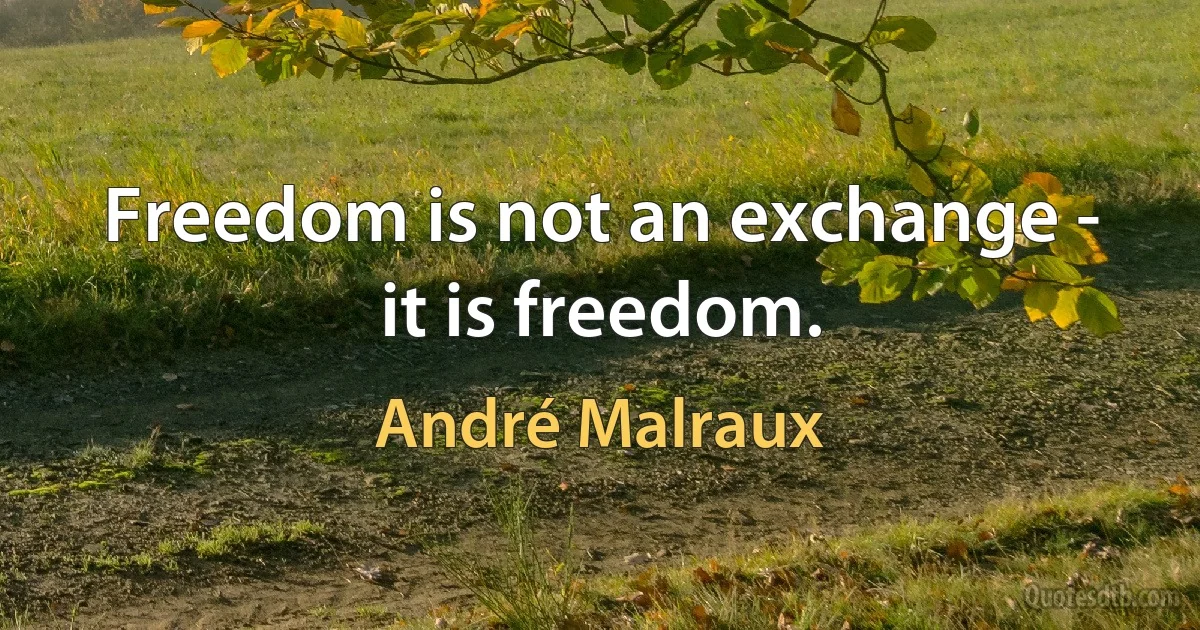 Freedom is not an exchange - it is freedom. (André Malraux)