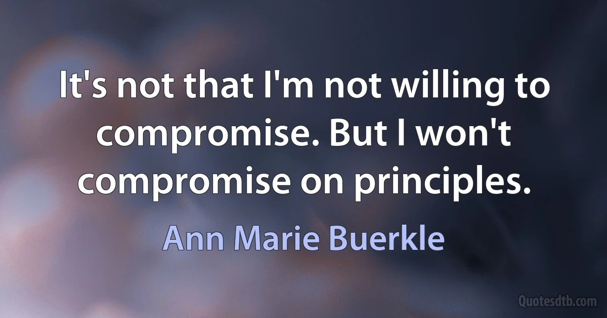 It's not that I'm not willing to compromise. But I won't compromise on principles. (Ann Marie Buerkle)