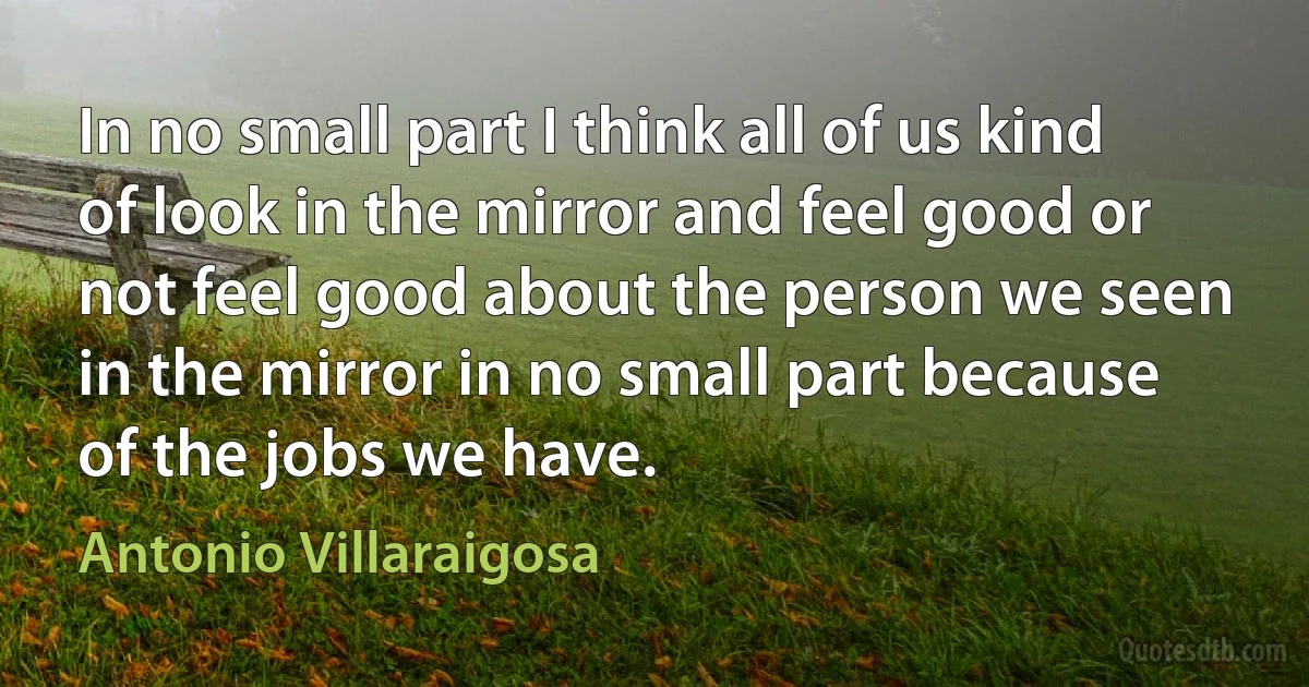 In no small part I think all of us kind of look in the mirror and feel good or not feel good about the person we seen in the mirror in no small part because of the jobs we have. (Antonio Villaraigosa)