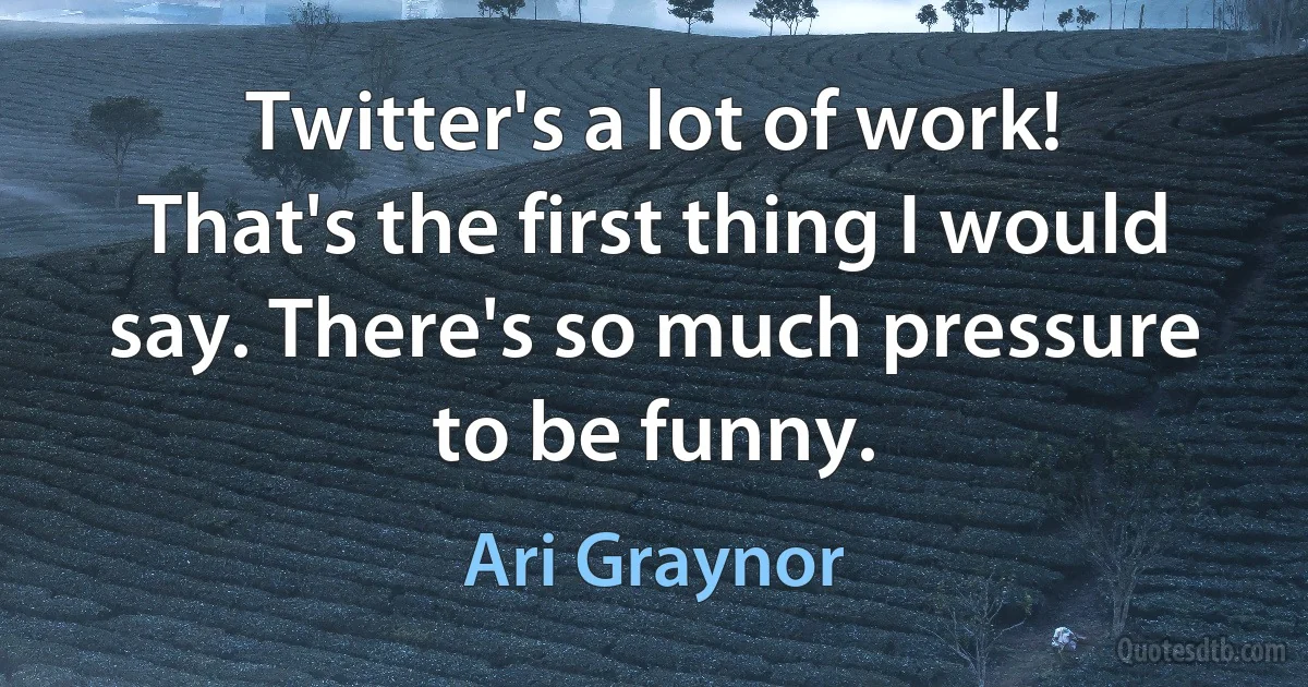 Twitter's a lot of work! That's the first thing I would say. There's so much pressure to be funny. (Ari Graynor)