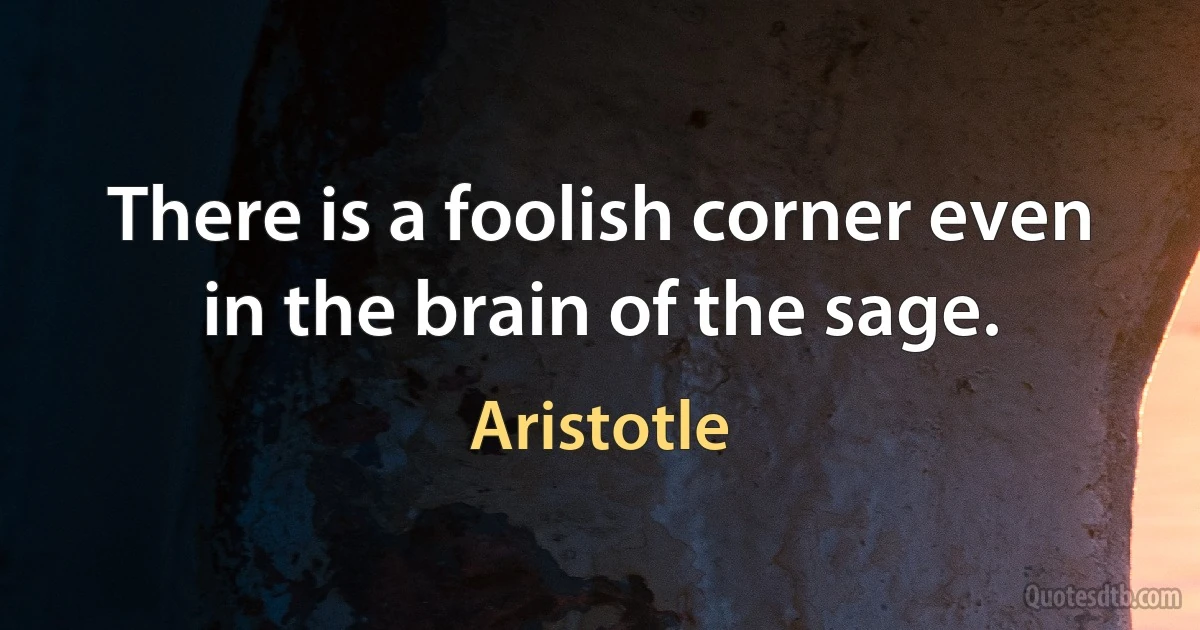 There is a foolish corner even in the brain of the sage. (Aristotle)