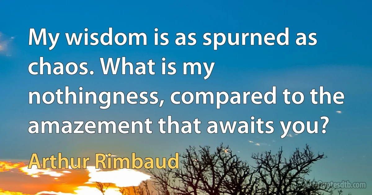 My wisdom is as spurned as chaos. What is my nothingness, compared to the amazement that awaits you? (Arthur Rimbaud)